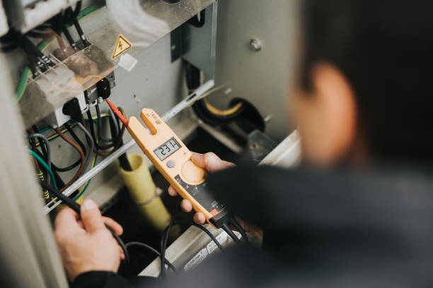 Best Affordable Electrician  in Tierra Verde, FL