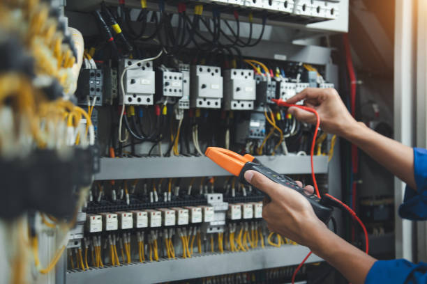 Best Licensed Electrician  in Tierra Verde, FL
