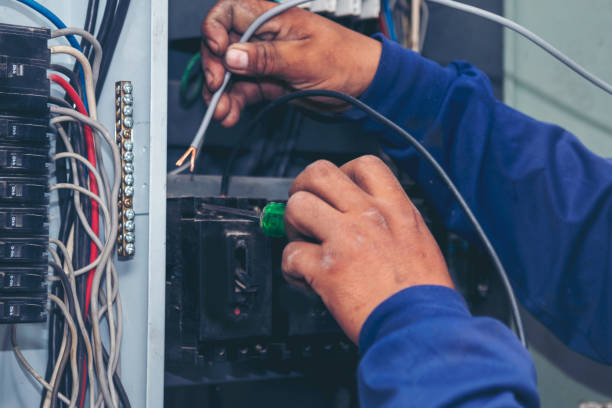 Best Residential Electrician Services  in Tierra Verde, FL